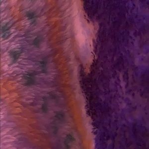 Meet your Posher, Lianne